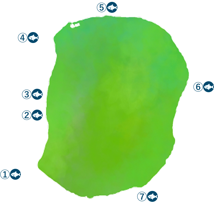 ポイントマップ