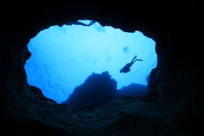 ダイビングしている様子