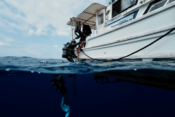 ボートから降りてダイビングをしている様子
