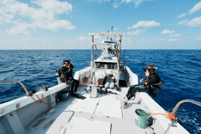 ボートから降りてダイビングをしている様子